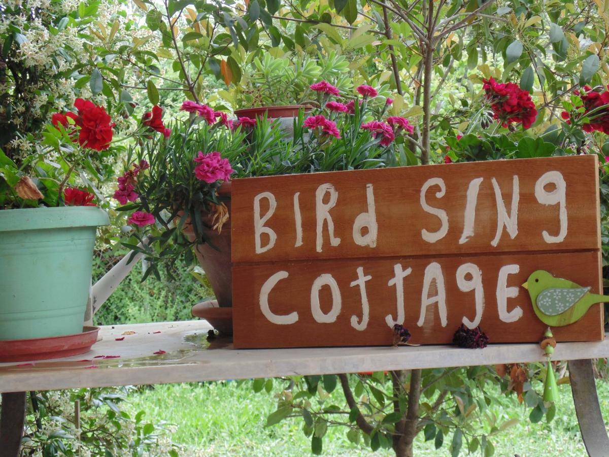 Birdsing Cottage Dassia  Exterior foto